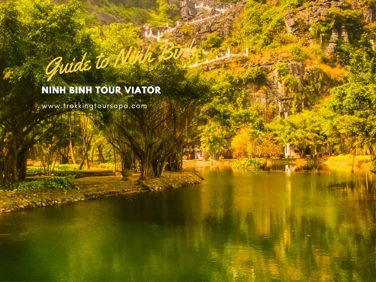 ninh binh tour viator