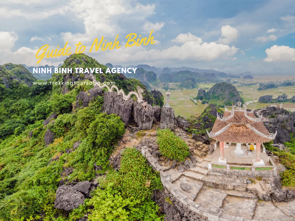 ninh binh travel agency