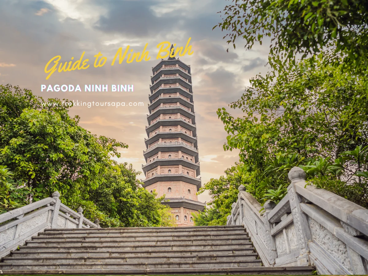 pagoda ninh binh