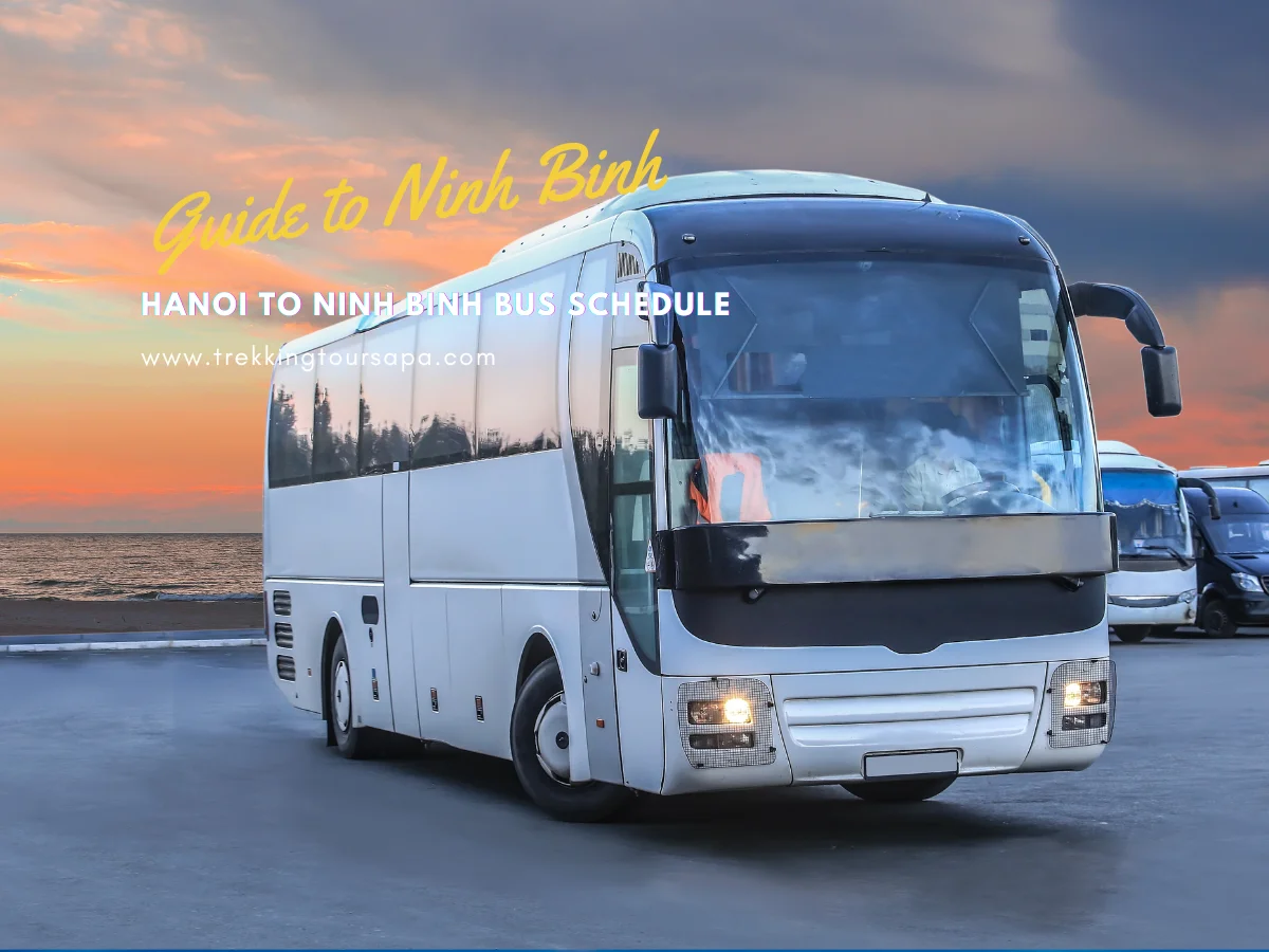 hanoi to ninh binh bus schedule