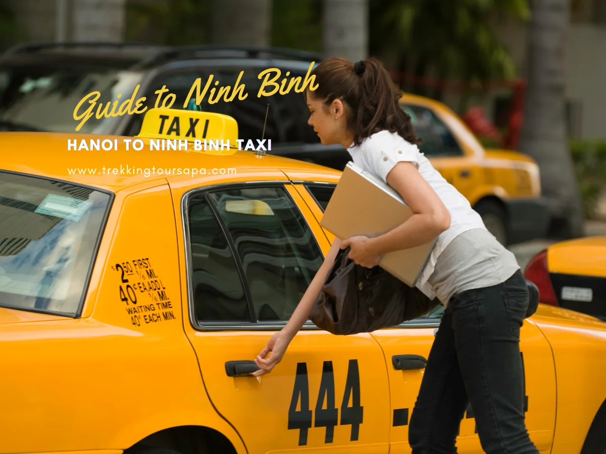 hanoi to ninh binh taxi