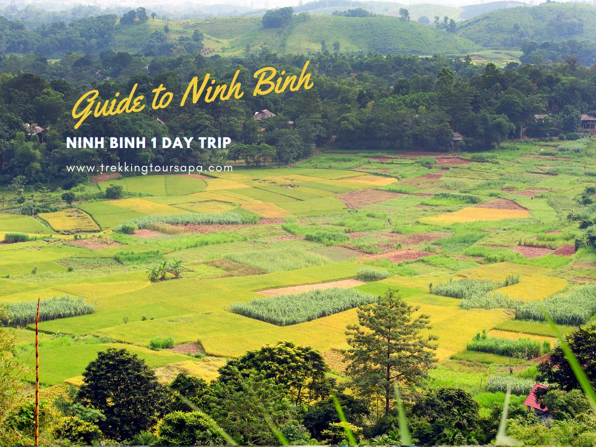 ninh binh 1 day trip