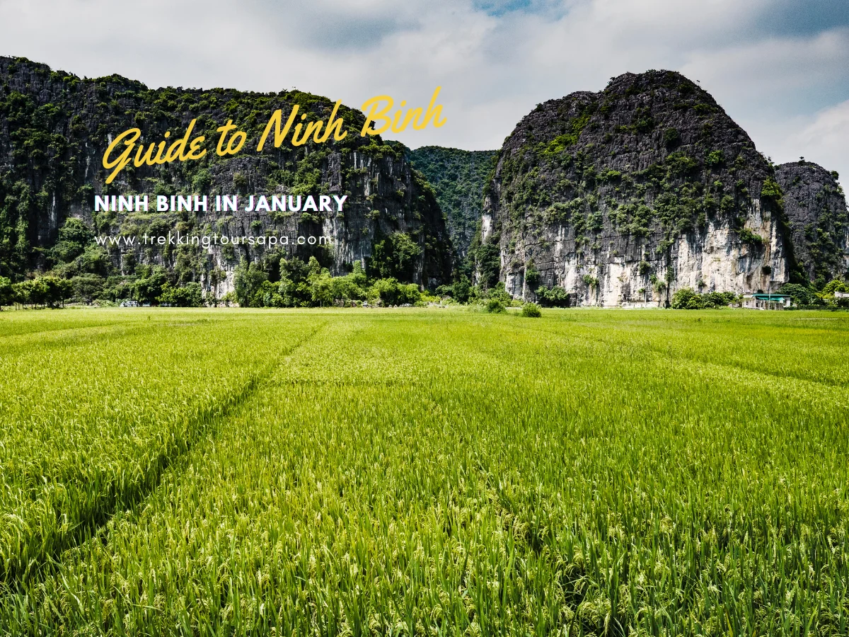 Ninh Binh In January: Travel Tips And Weather