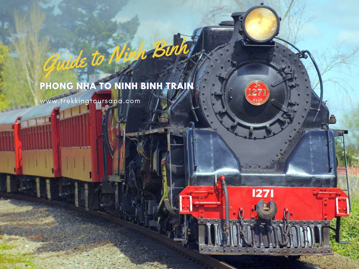 phong nha to ninh binh train