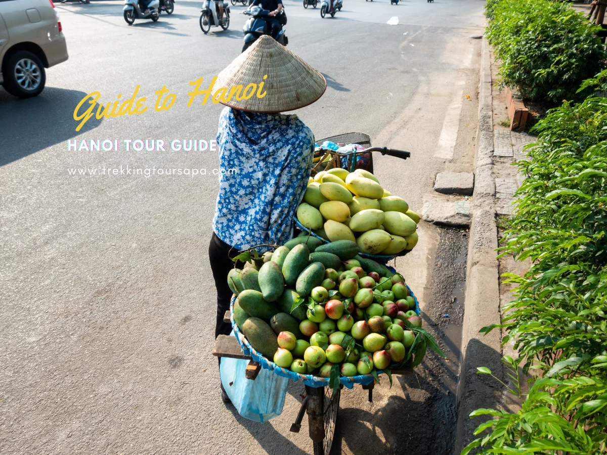 hanoi tour guide