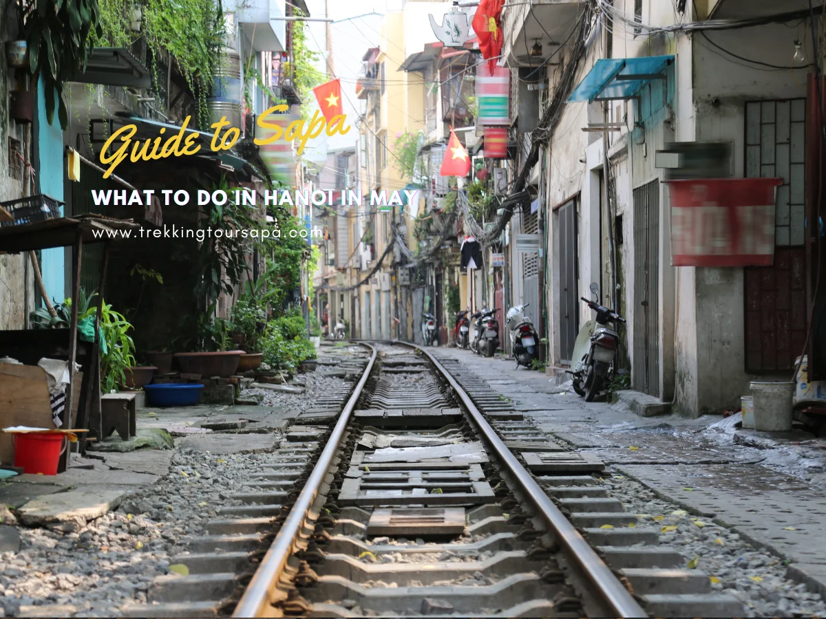 what to do in hanoi in may
