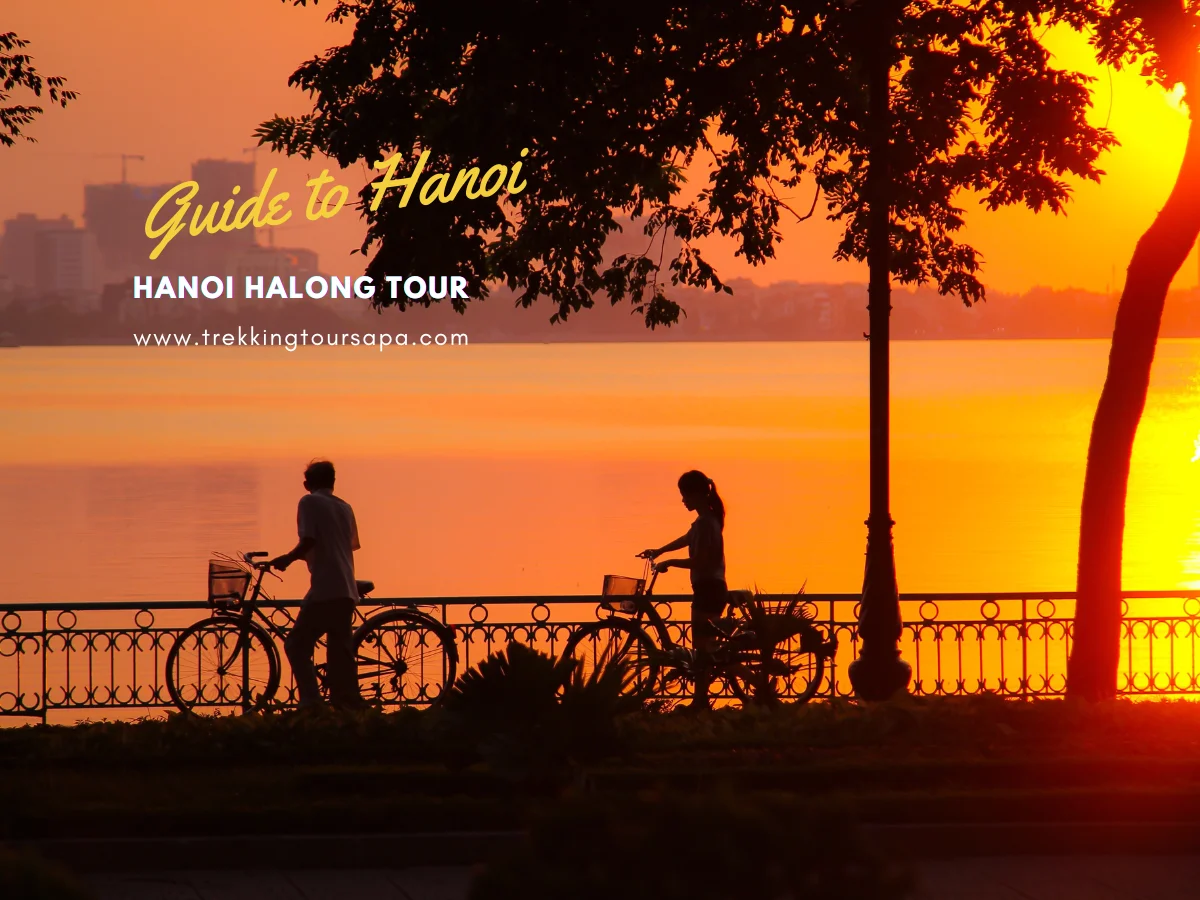 hanoi halong tour