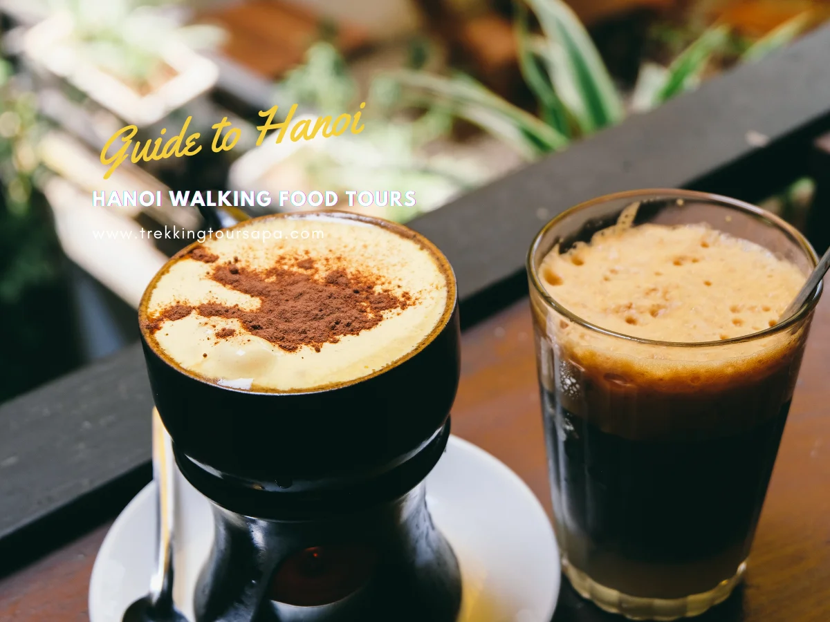 hanoi walking food tours