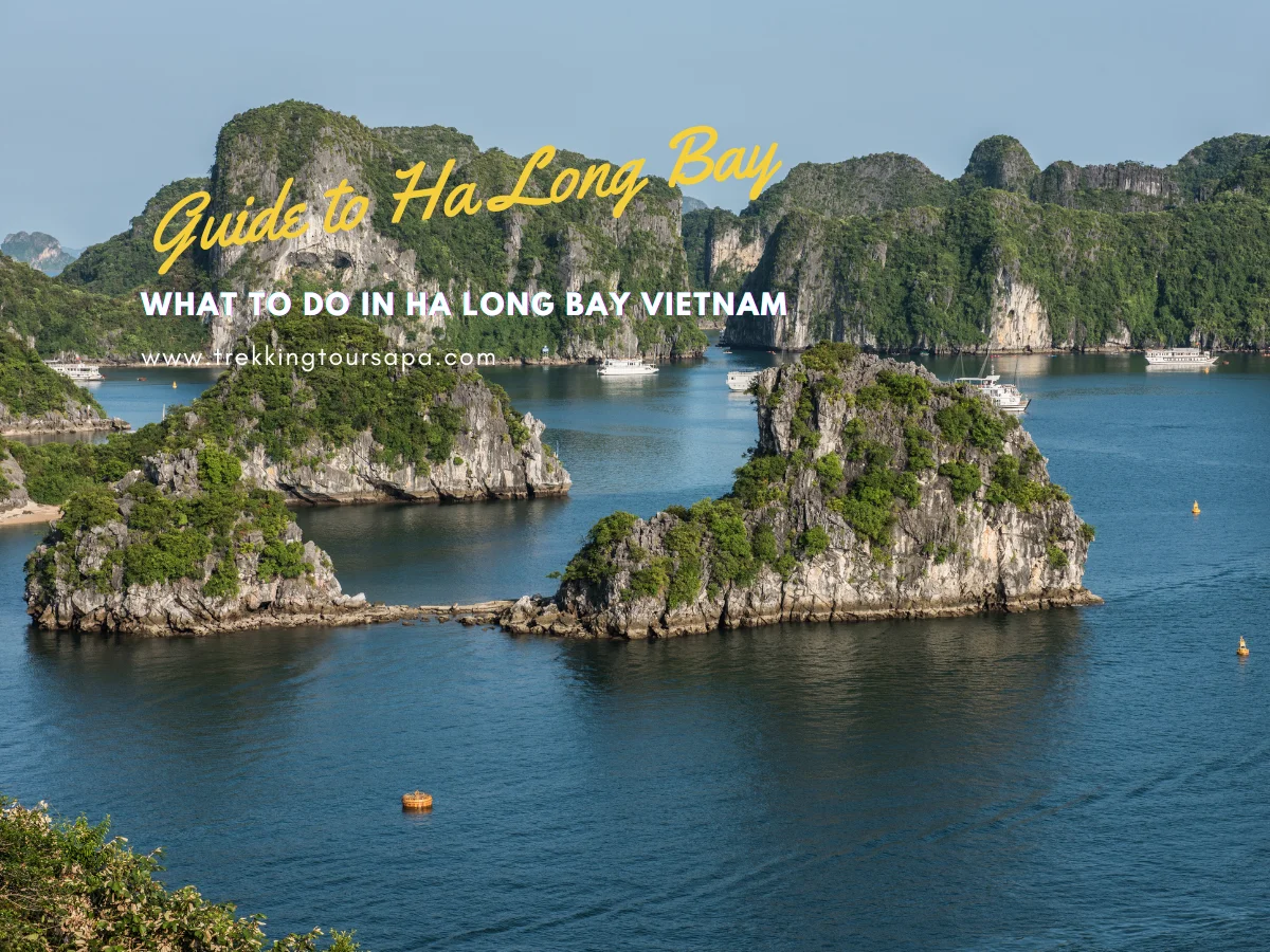 what to do in ha long bay vietnam