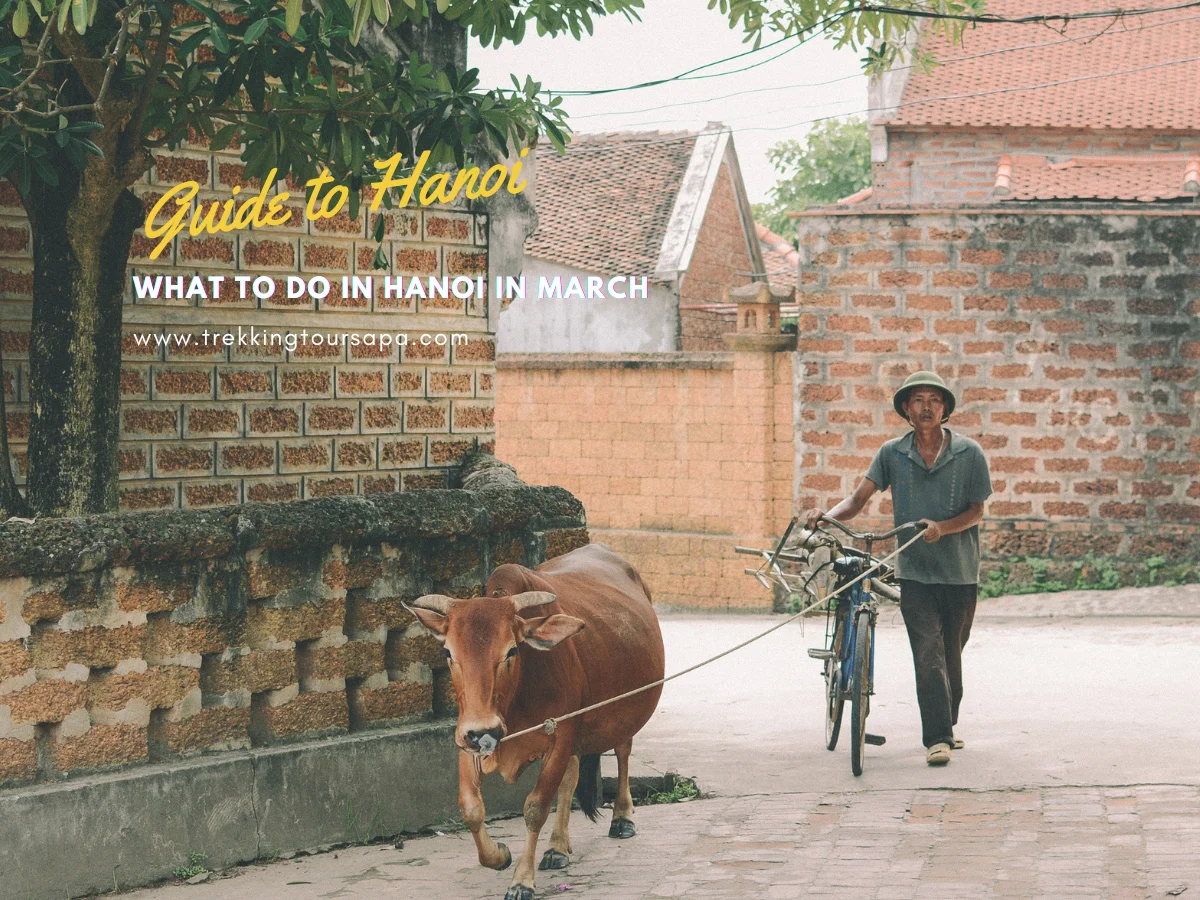 what to do in hanoi in march