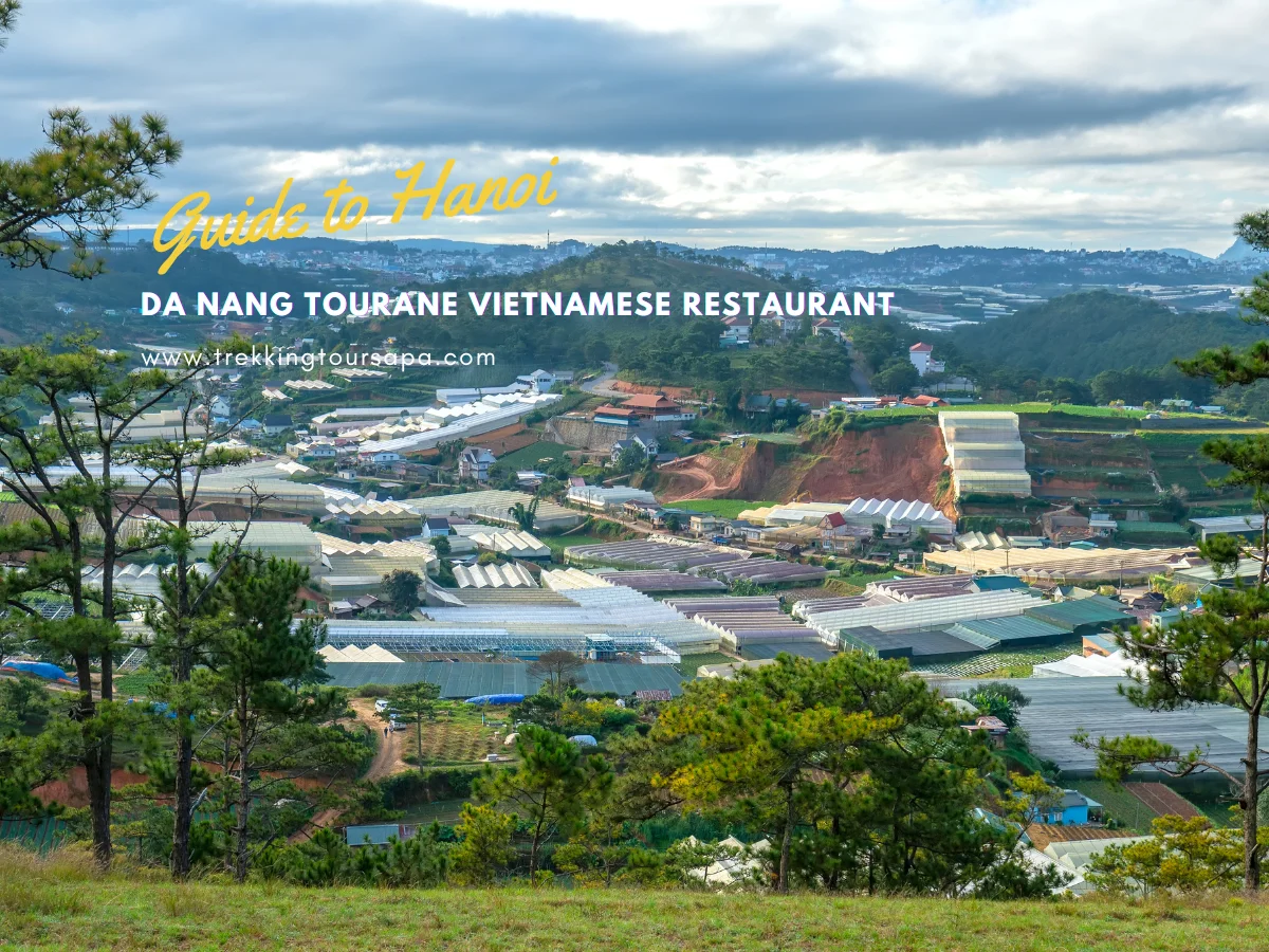 da nang tourane vietnamese restaurant