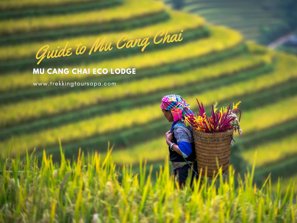 mu cang chai eco lodge