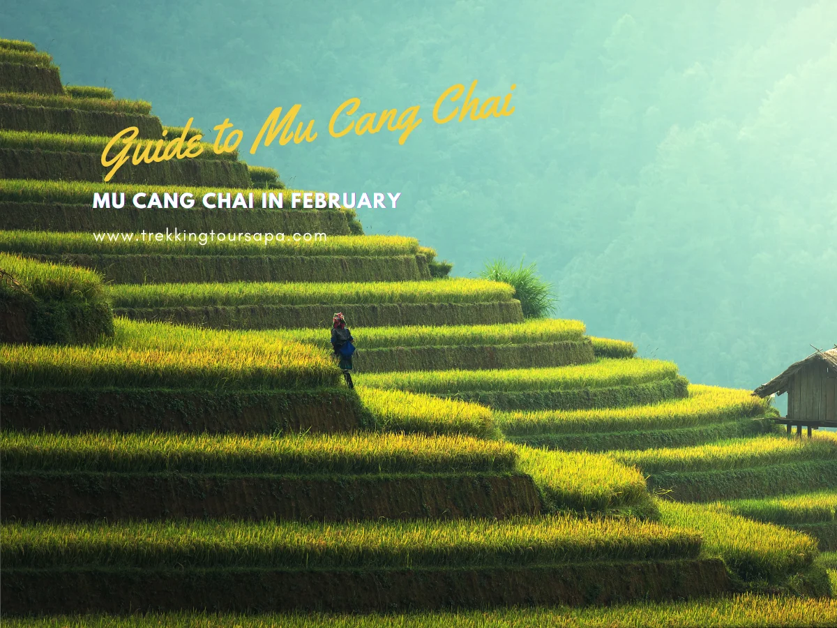 mu cang chai in february