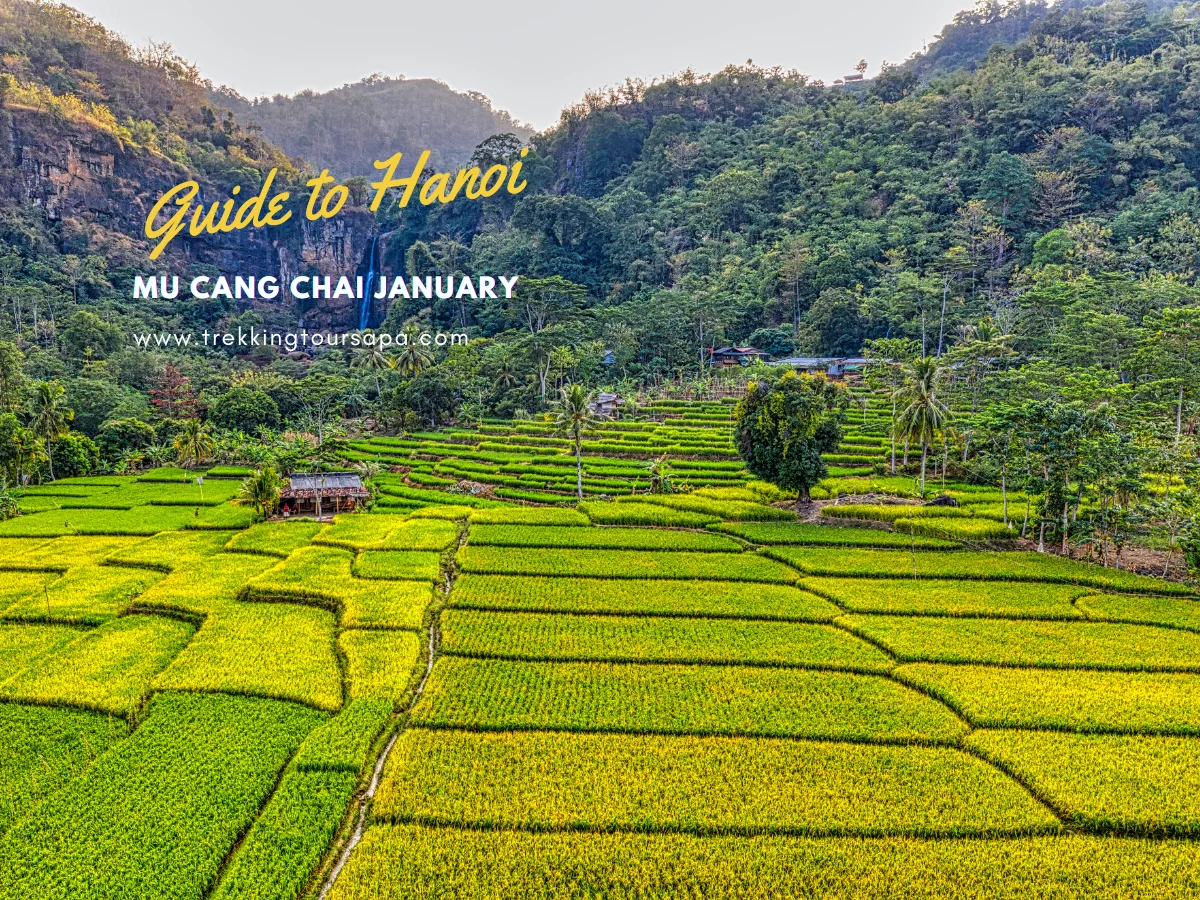 mu cang chai january