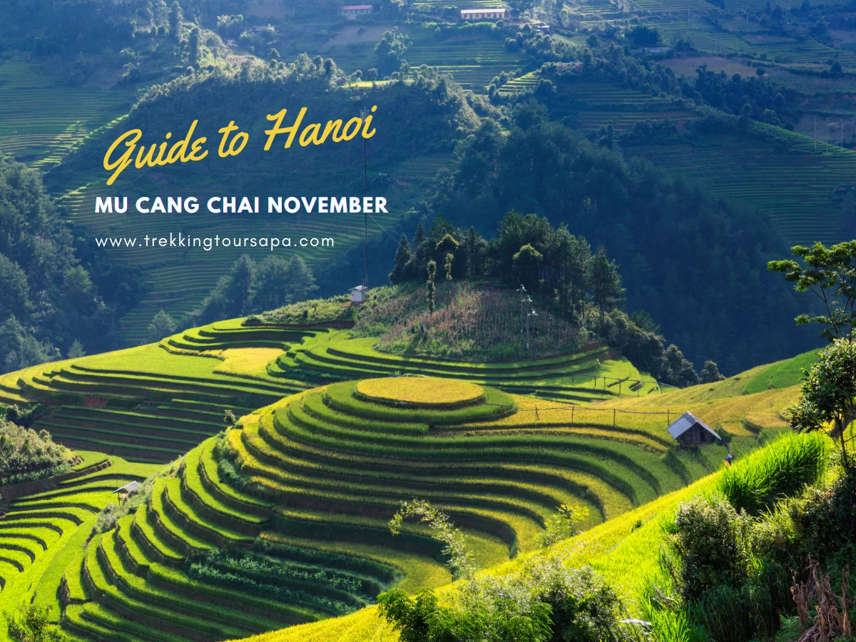 mu cang chai november