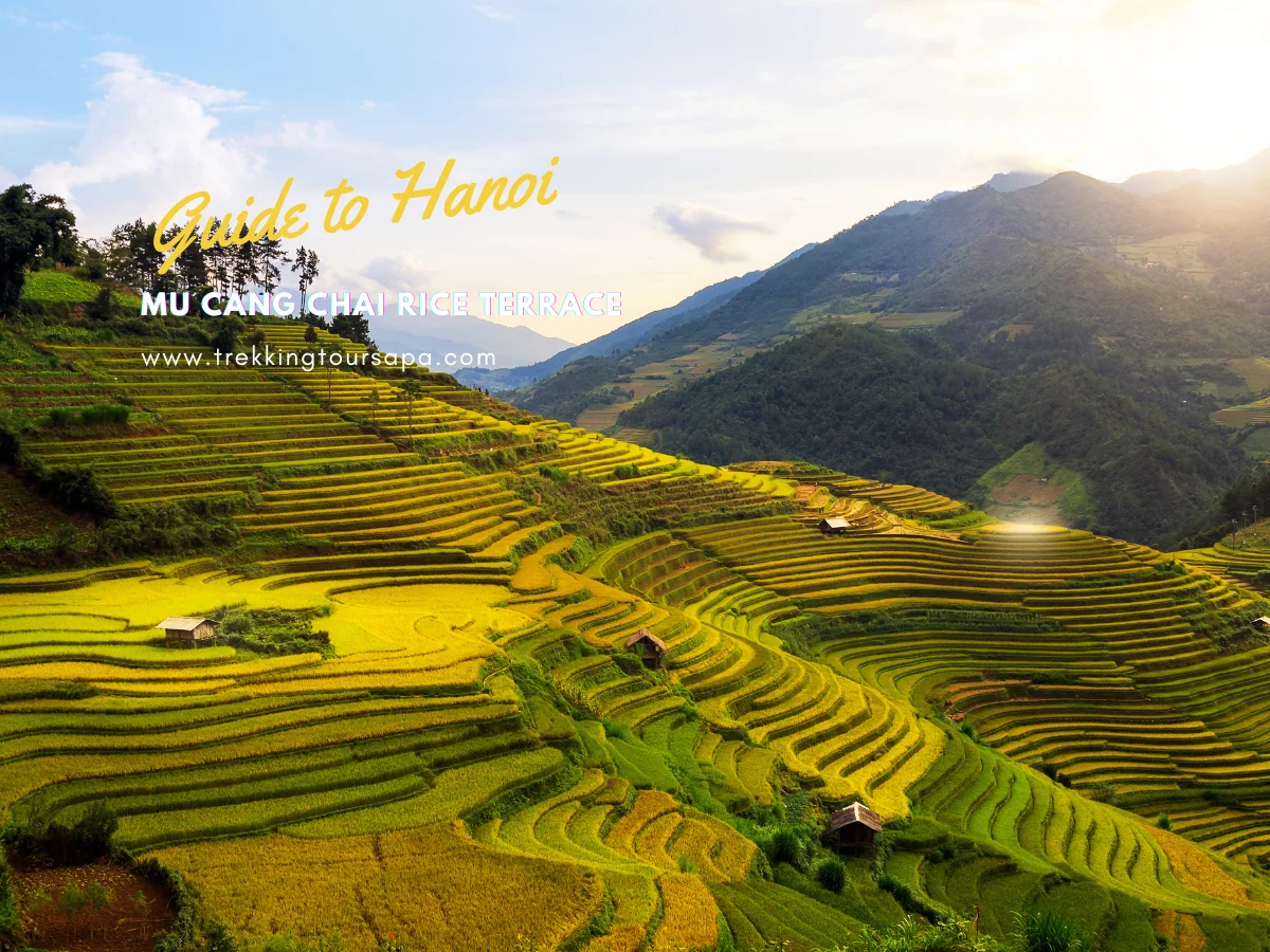 mu cang chai rice terrace