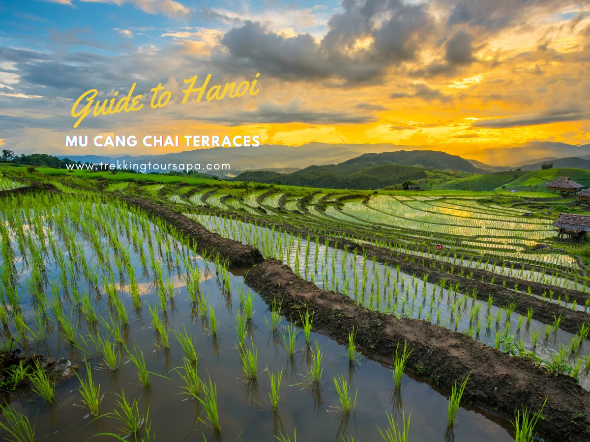 mu cang chai terraces