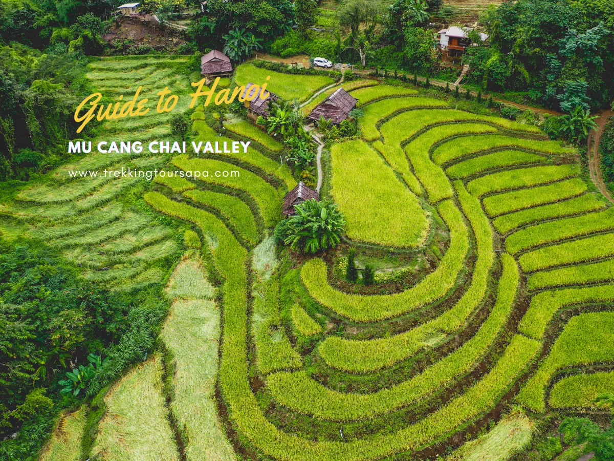 mu cang chai valley