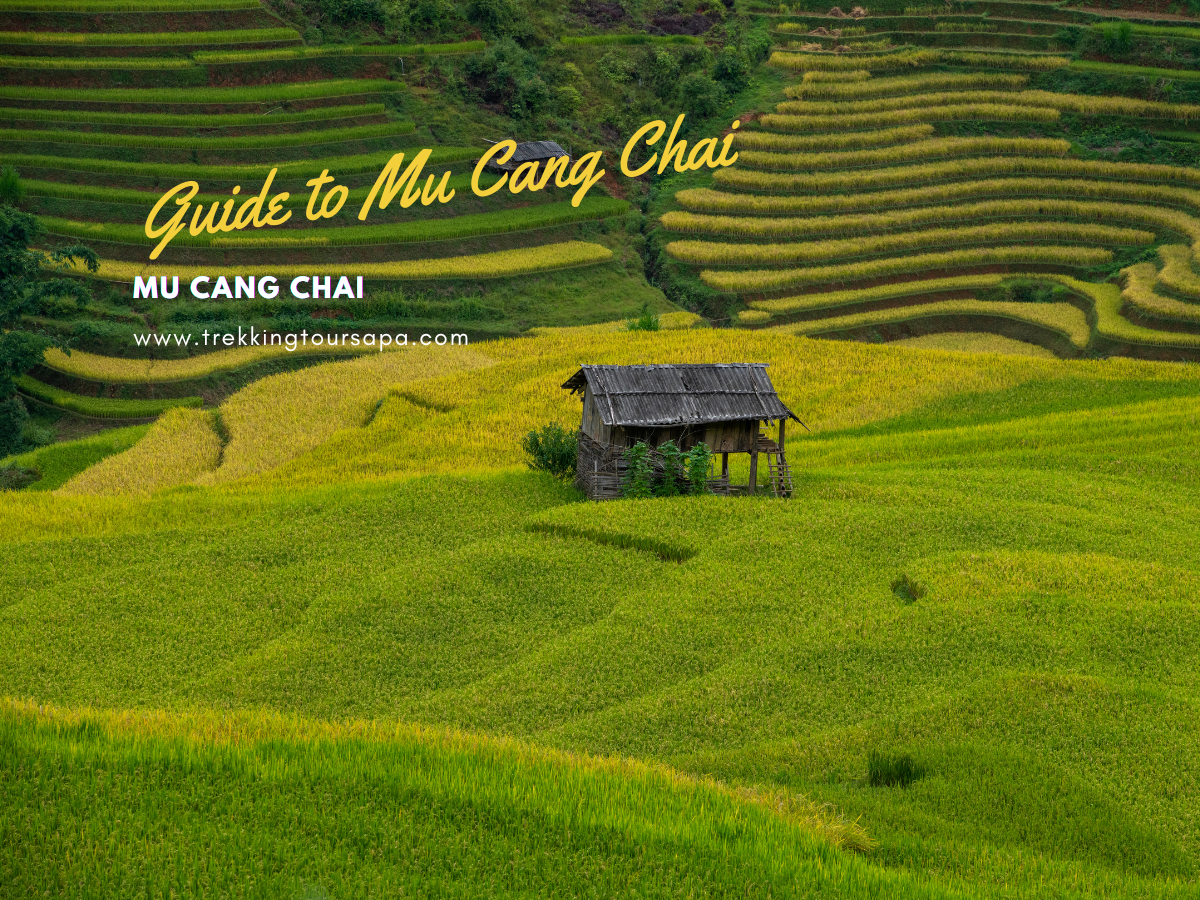 mu cang chai