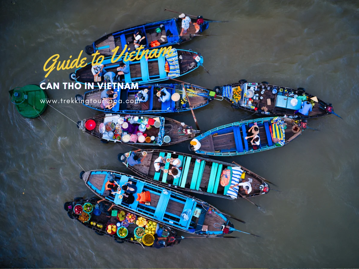 Discover Can Tho In Vietnam: Mekong Delta's Gem