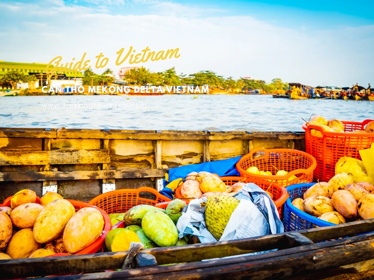 can tho mekong delta vietnam