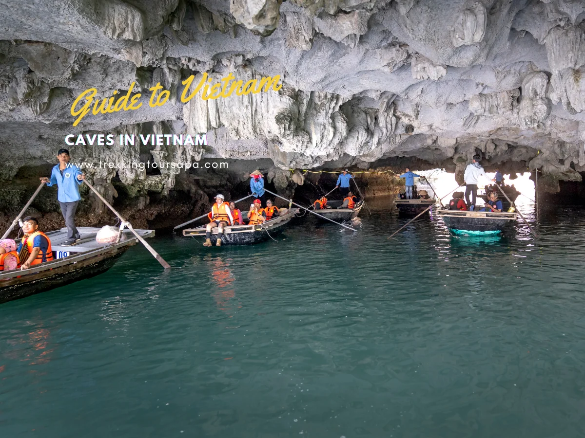 caves in vietnam