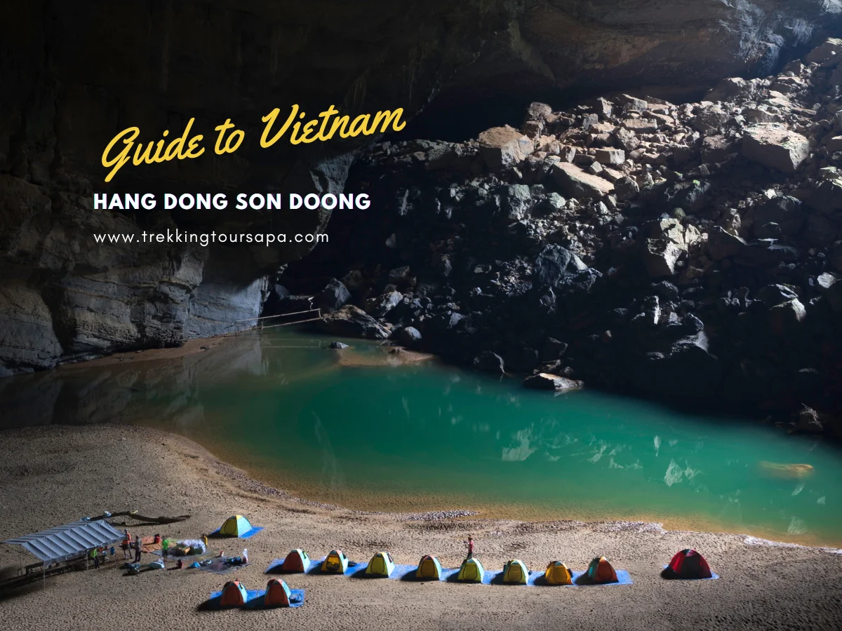 hang dong son doong