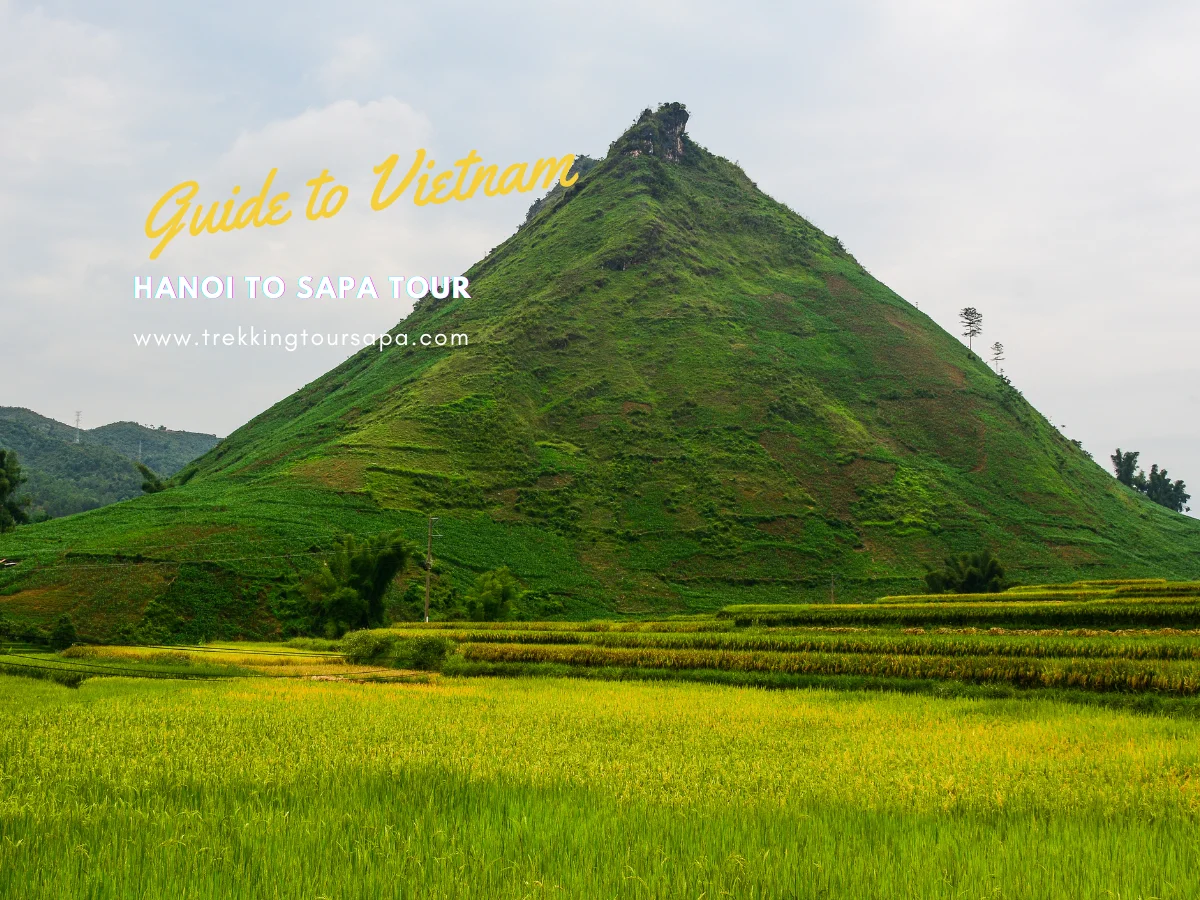 hanoi to sapa tour