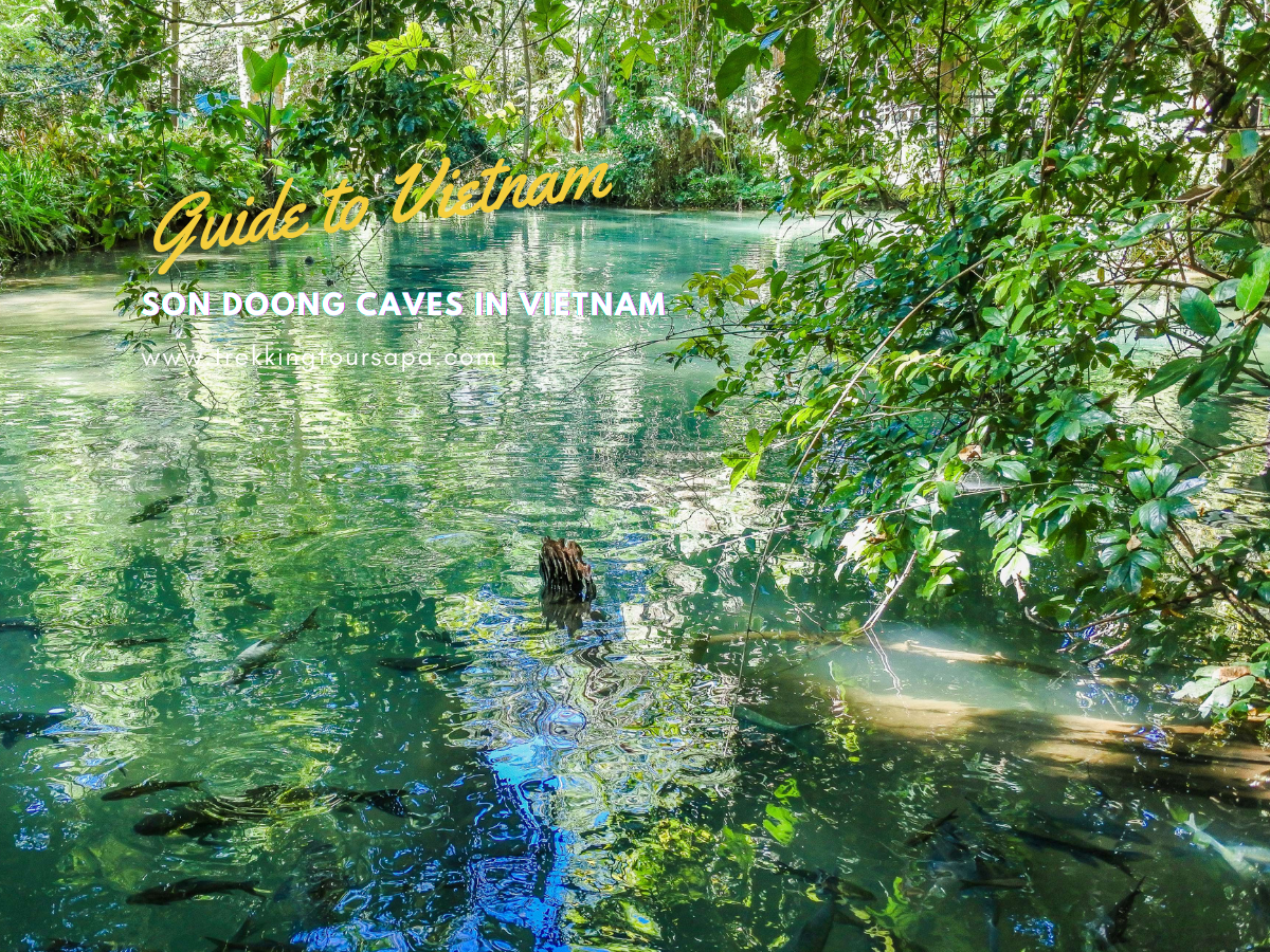 son doong caves in vietnam