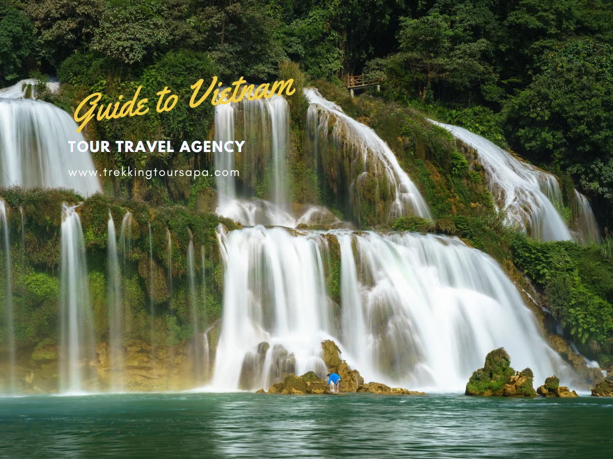 tour travel agency