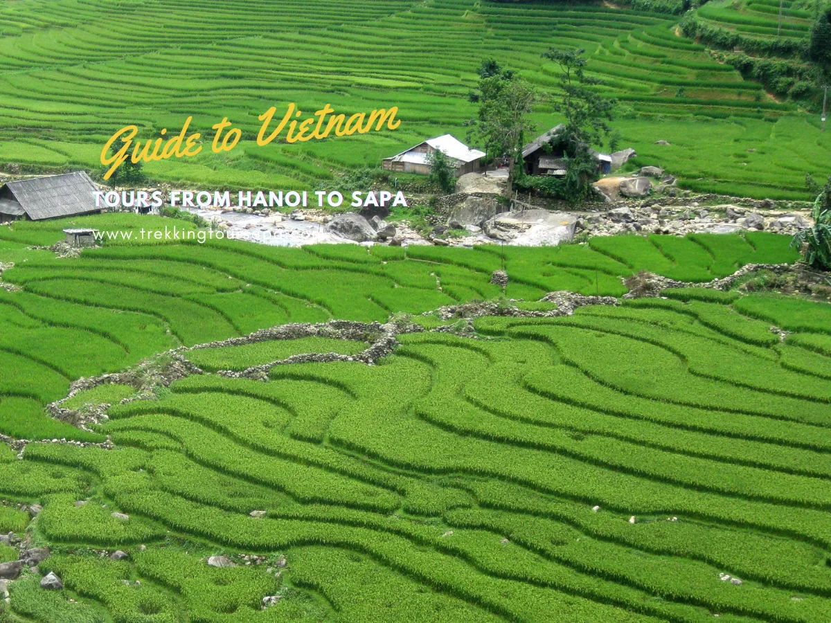 tours from hanoi to sapa