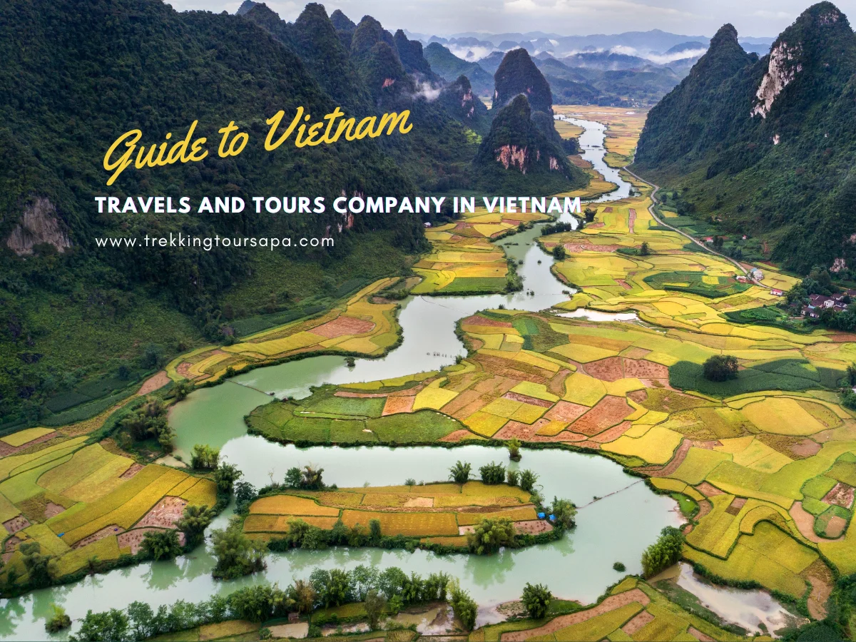 travels and tours company in Vietnam