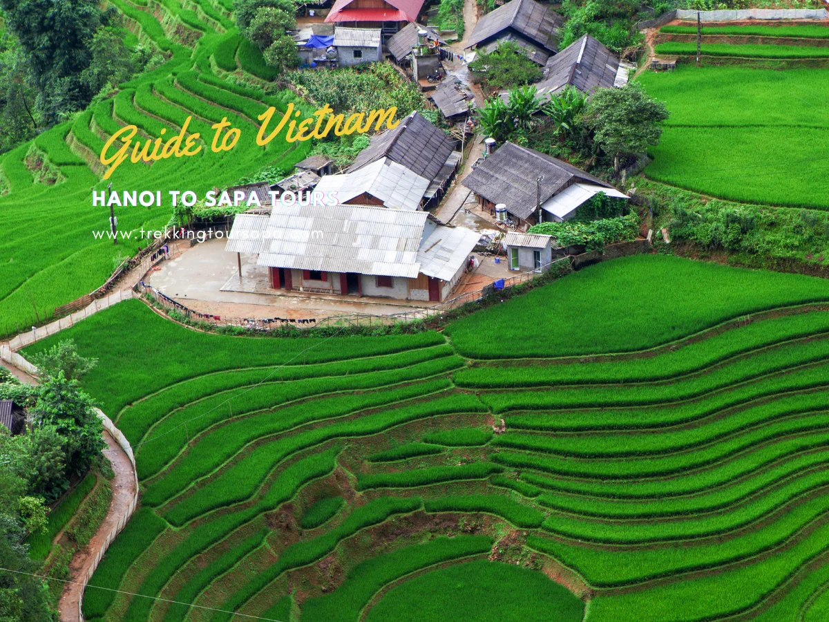 hanoi to sapa tours