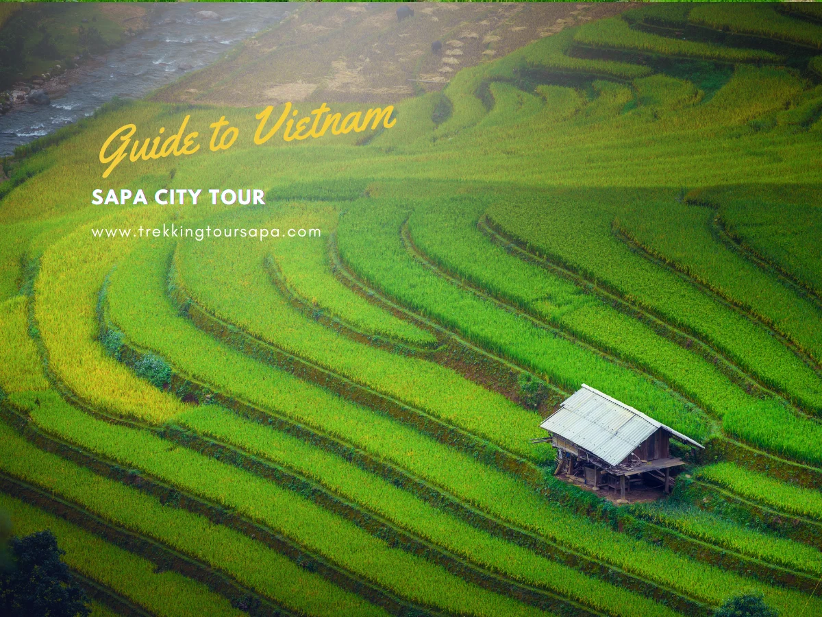 sapa city tour