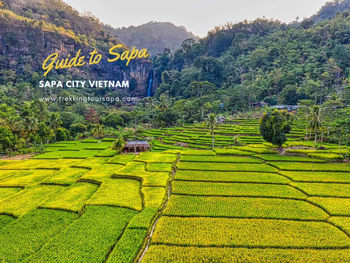 sapa city vietnam