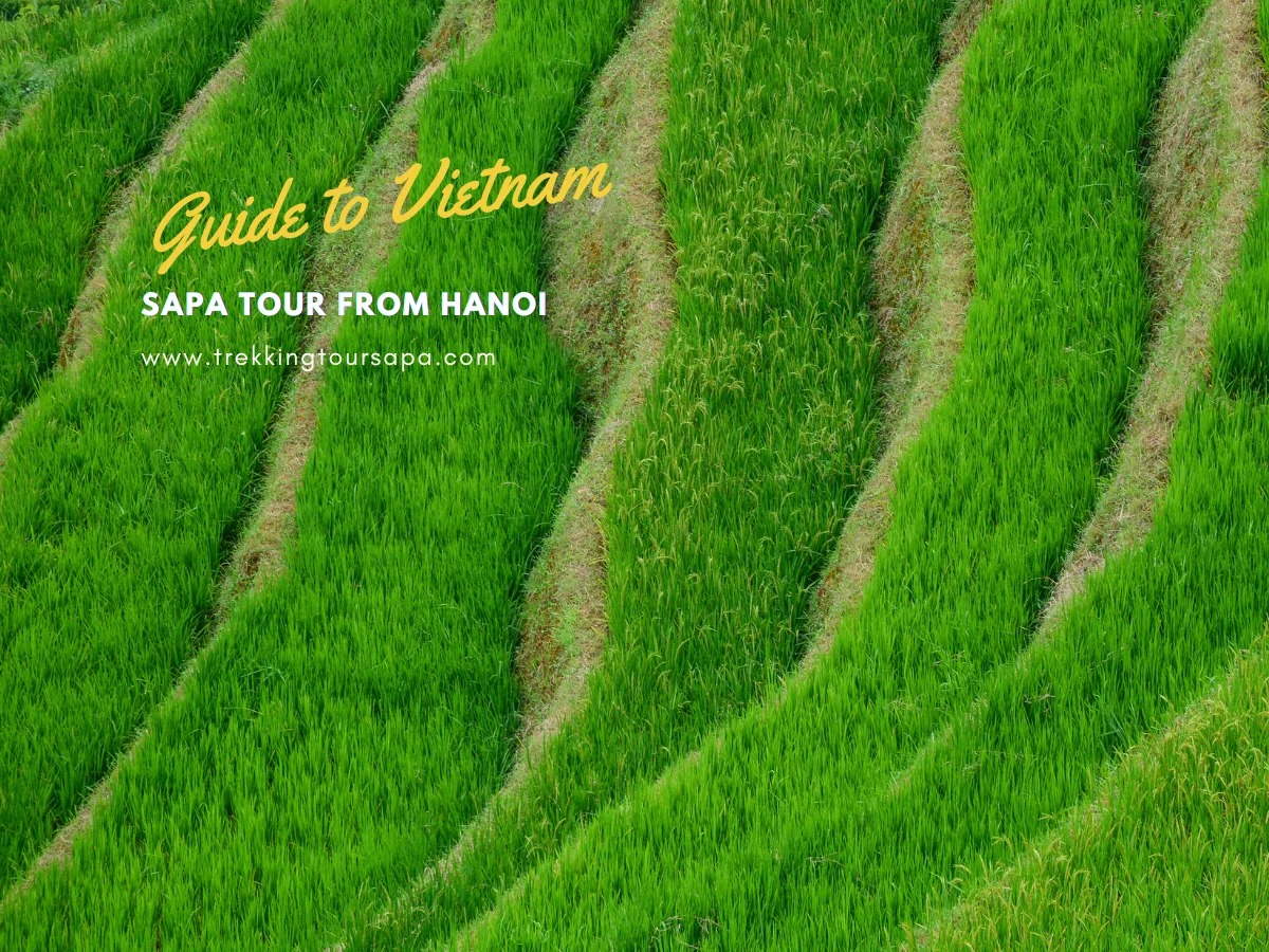 sapa tour from hanoi