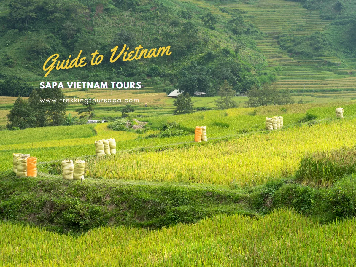 sapa vietnam tours