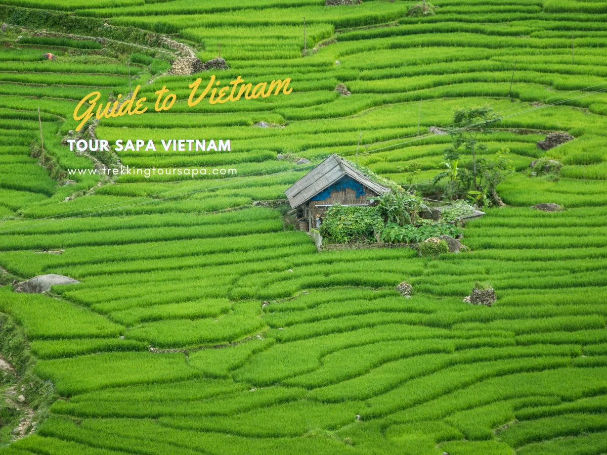 tour sapa vietnam