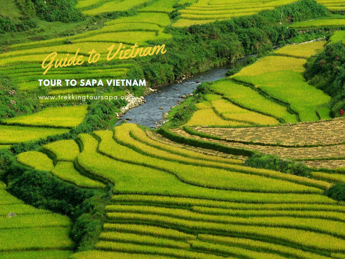 tour to sapa vietnam