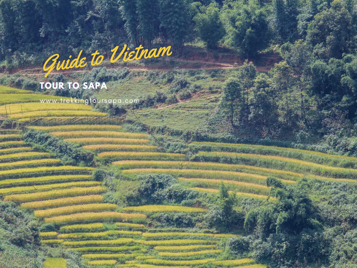 tour to sapa