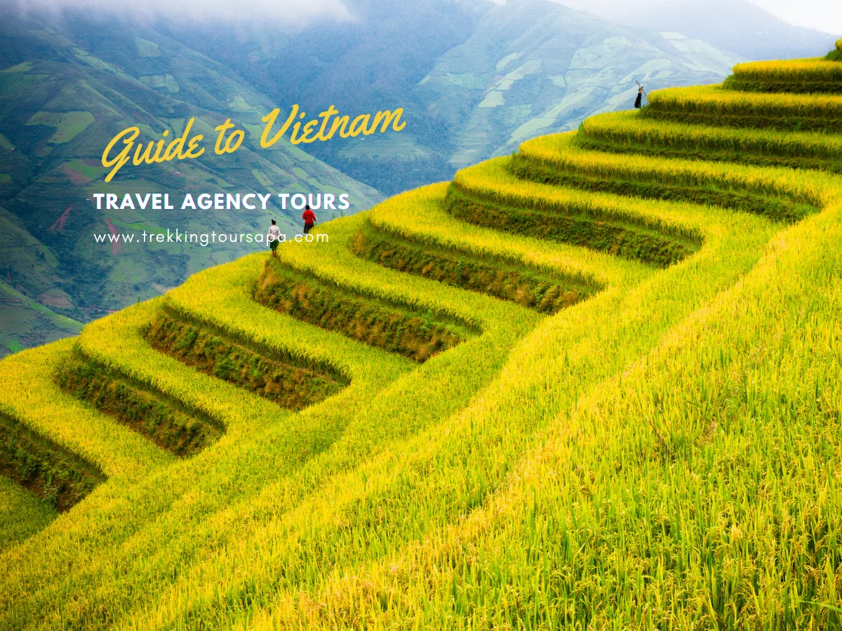 travel agency tours