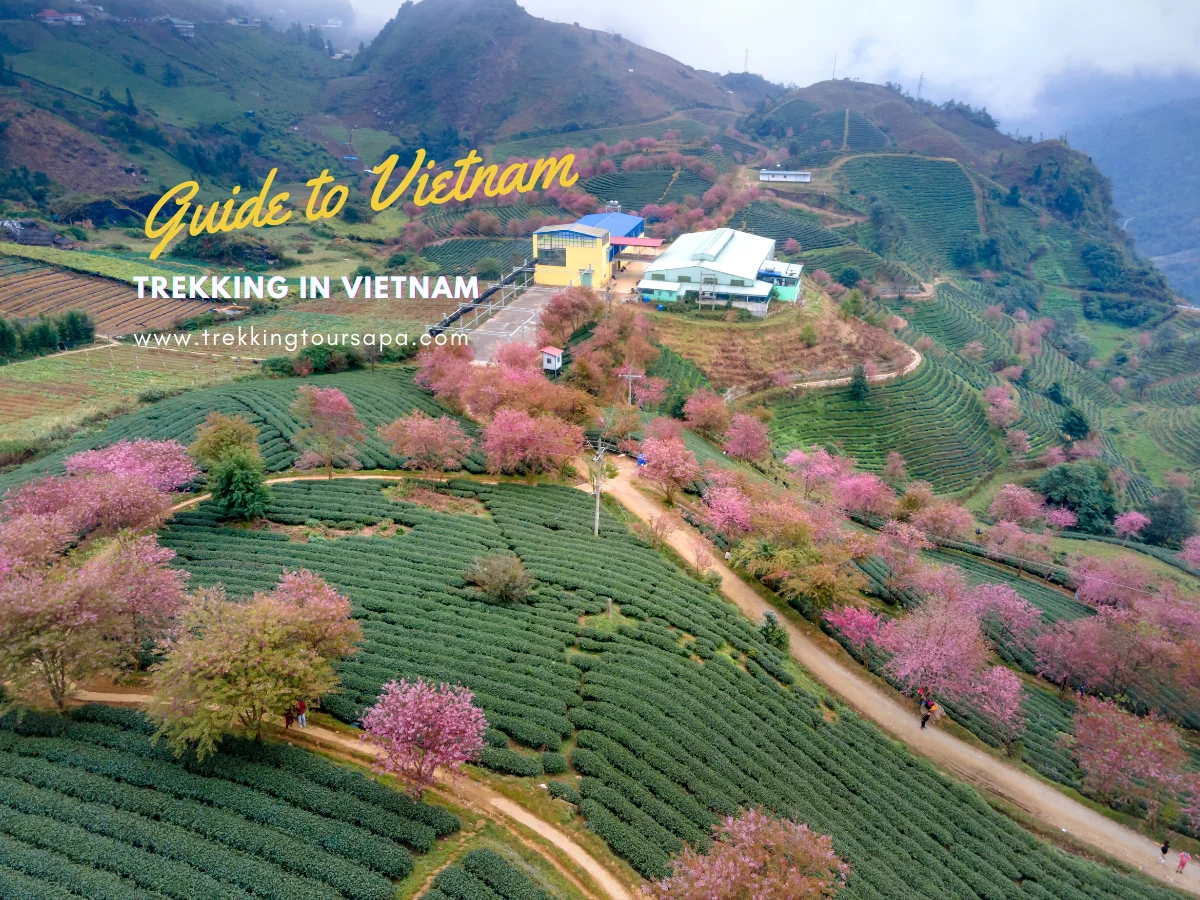 trekking in vietnam